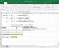 Tutoriel solveur Excel pour la PL