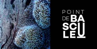 Point de bascule
