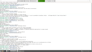 ligne de commande.mp4