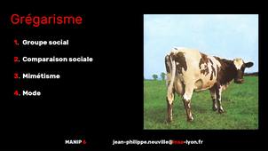 MANIP 6 - Grégarisme.mp4
