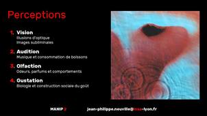 MANIP 2 - Perceptions.mp4